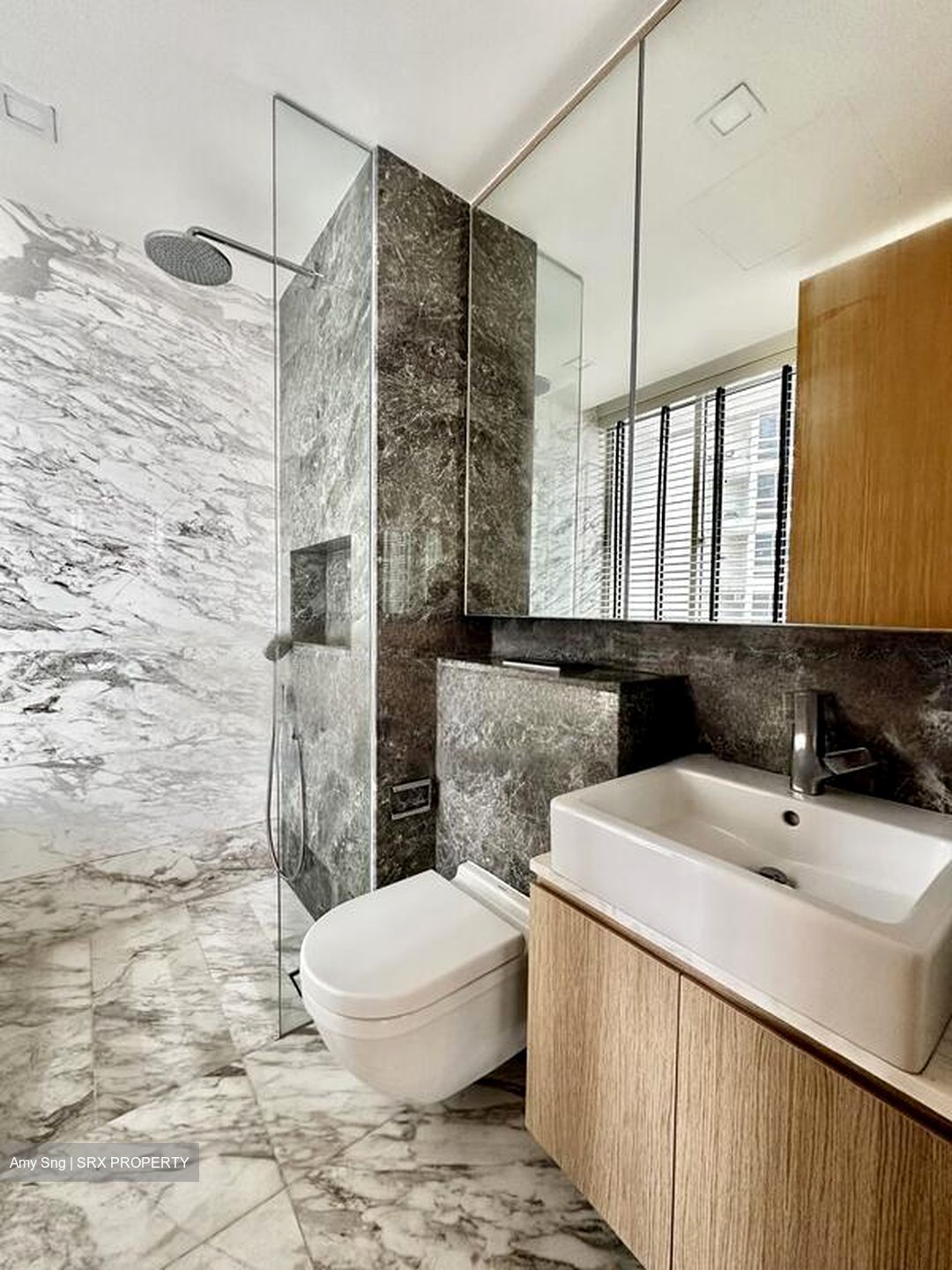 The Peak @ Cairnhill II (D9), Apartment #469103011